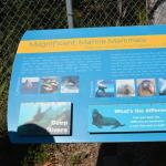 TourdSoCal_1_0077 (September 11, 2015)